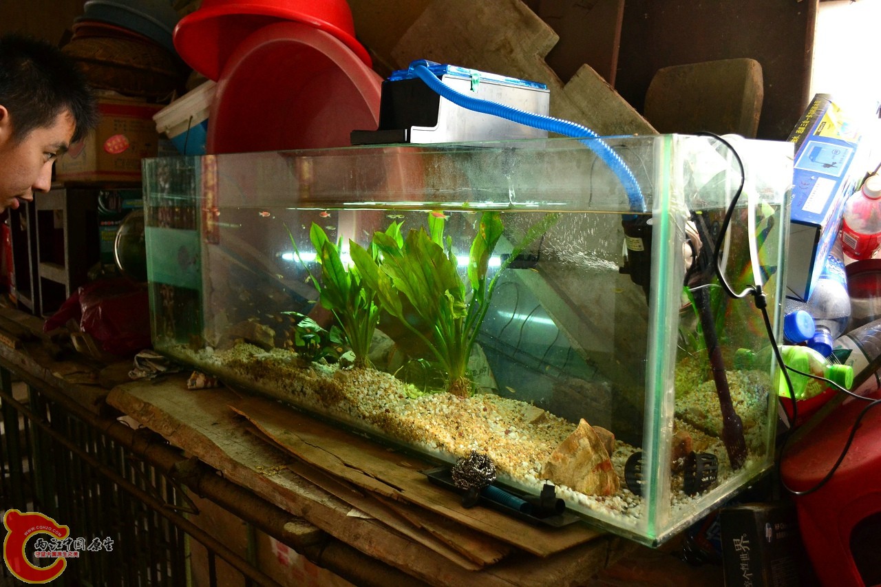 201108241516.jpg