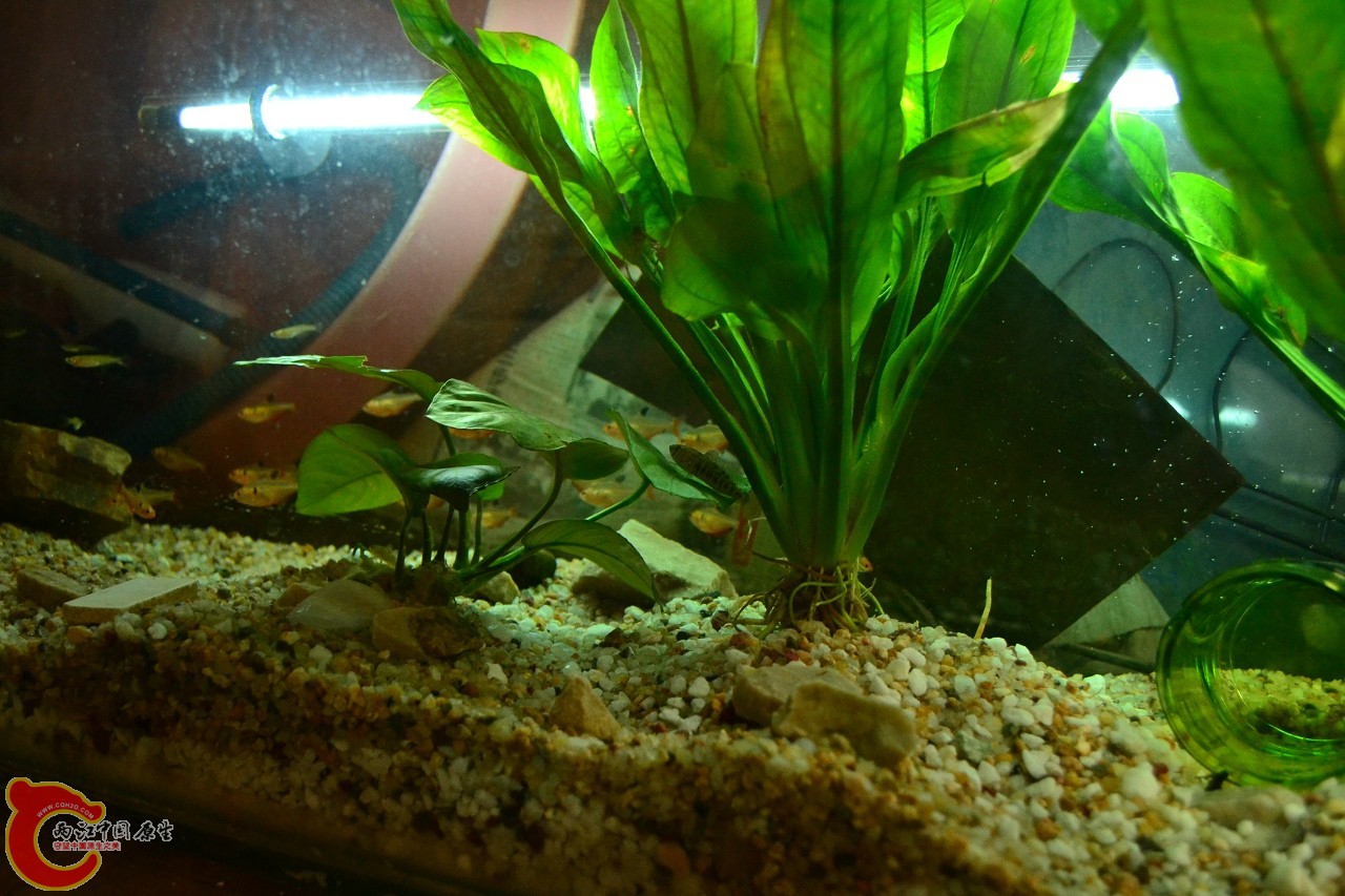 201108241517.jpg