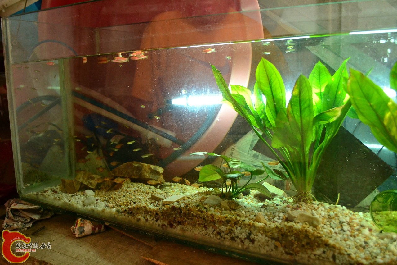 201108241518.jpg