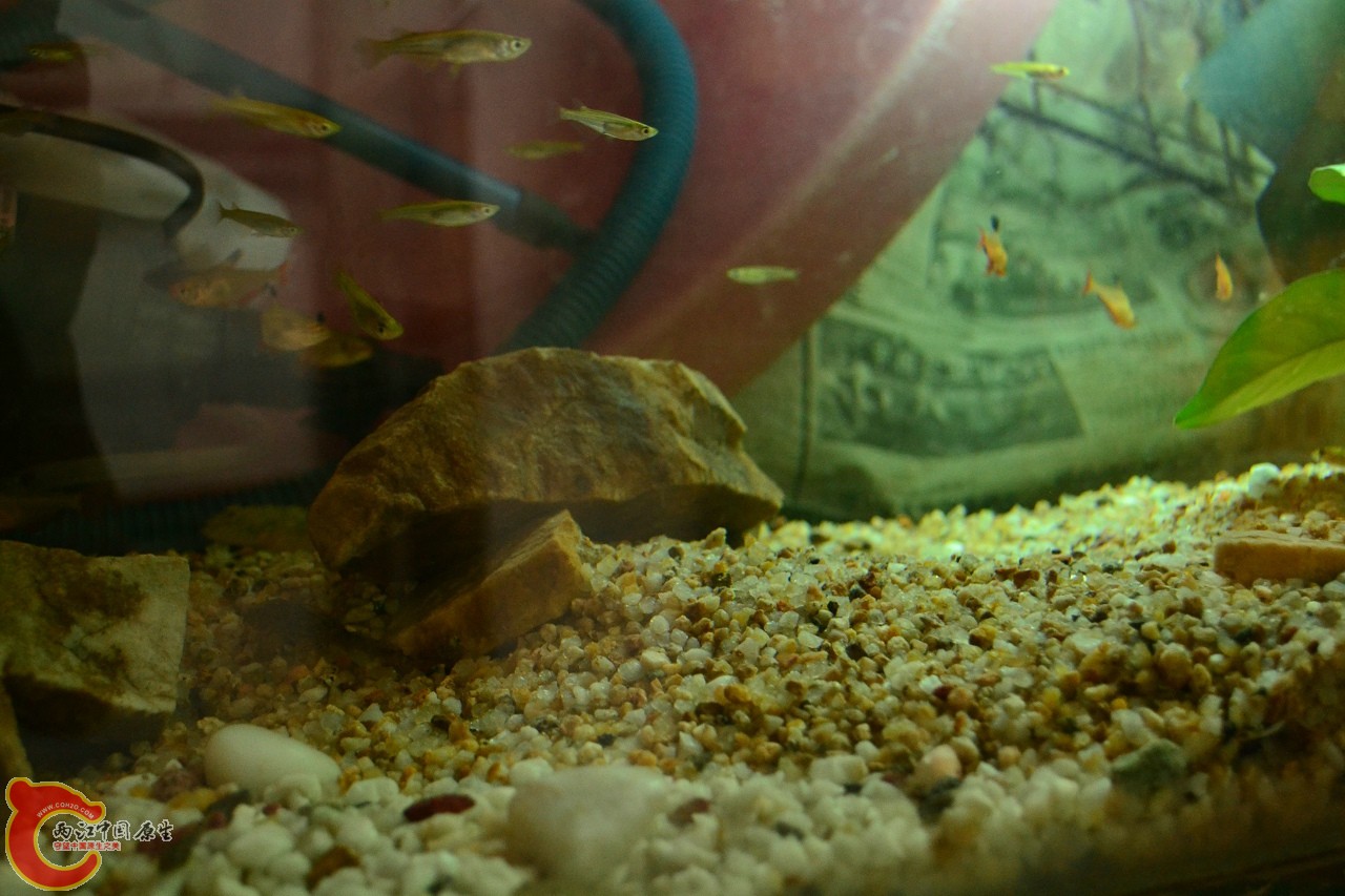 201108241519.jpg