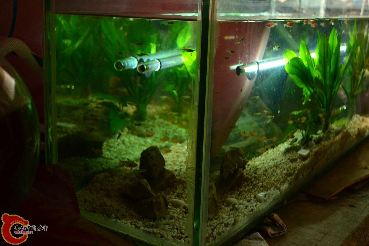 201108241520.jpg