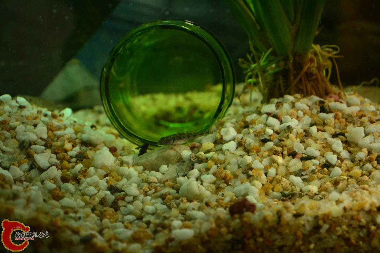 201108241521.jpg