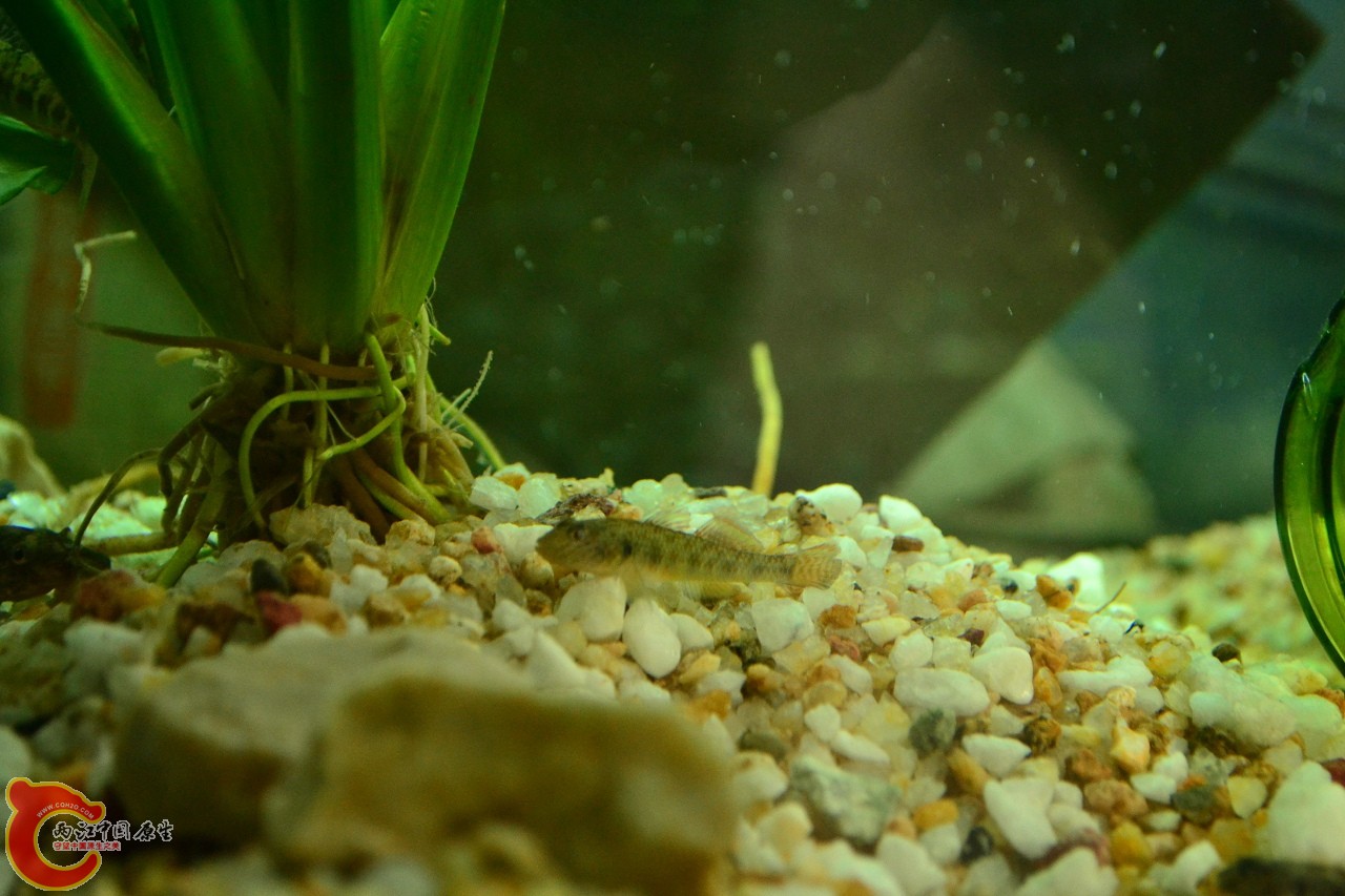 201108241522.jpg