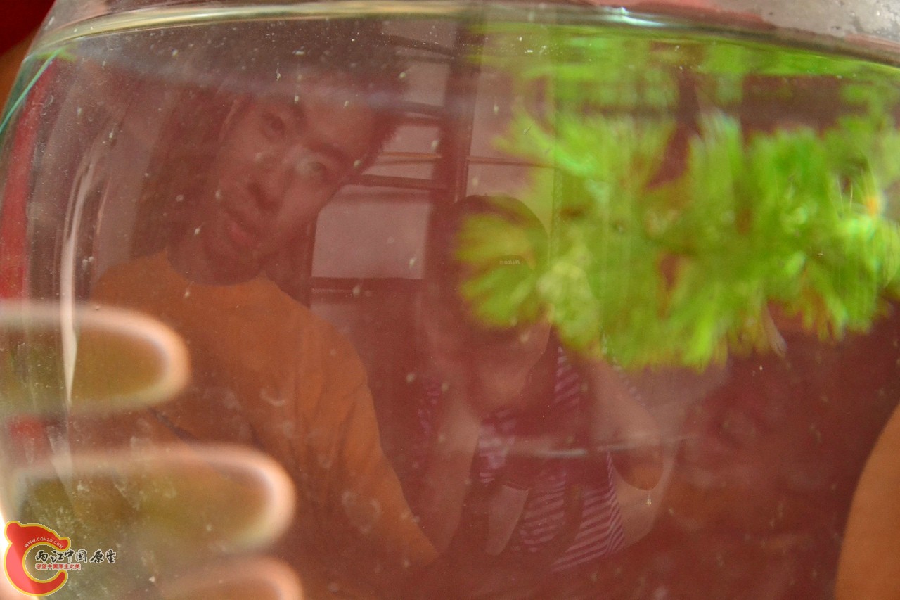 201108241523.jpg
