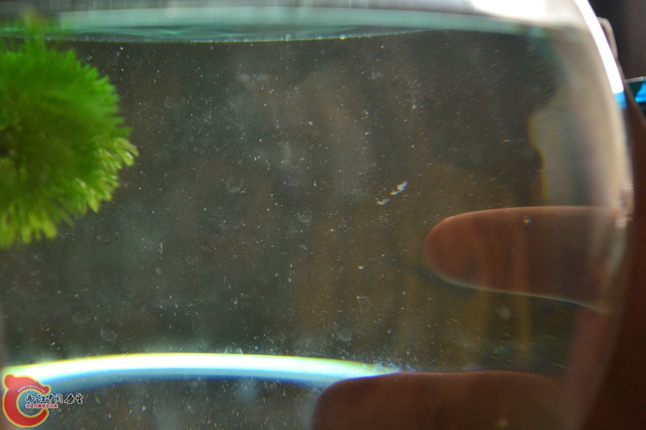 201108241524.jpg