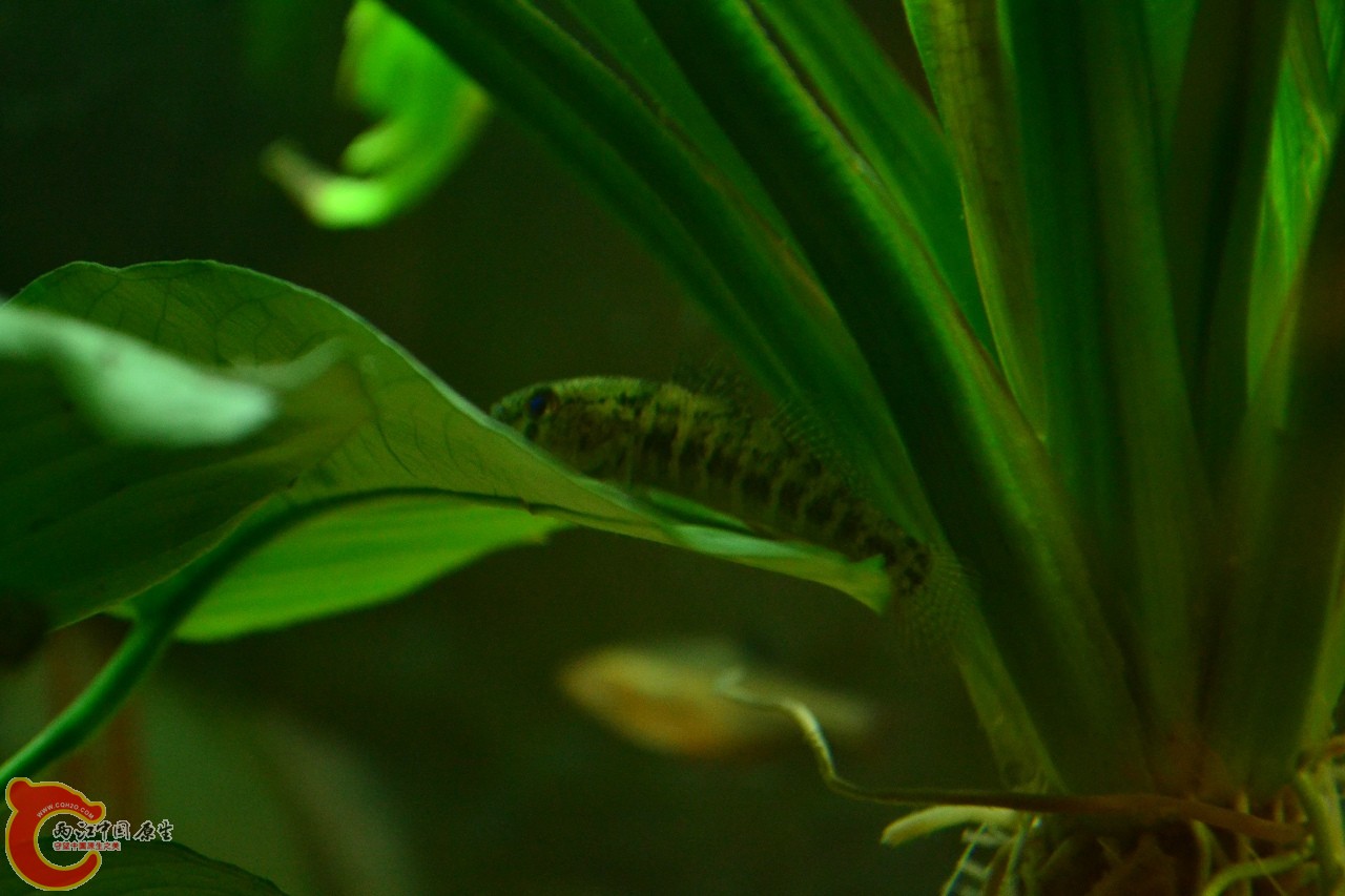 201108241525.jpg