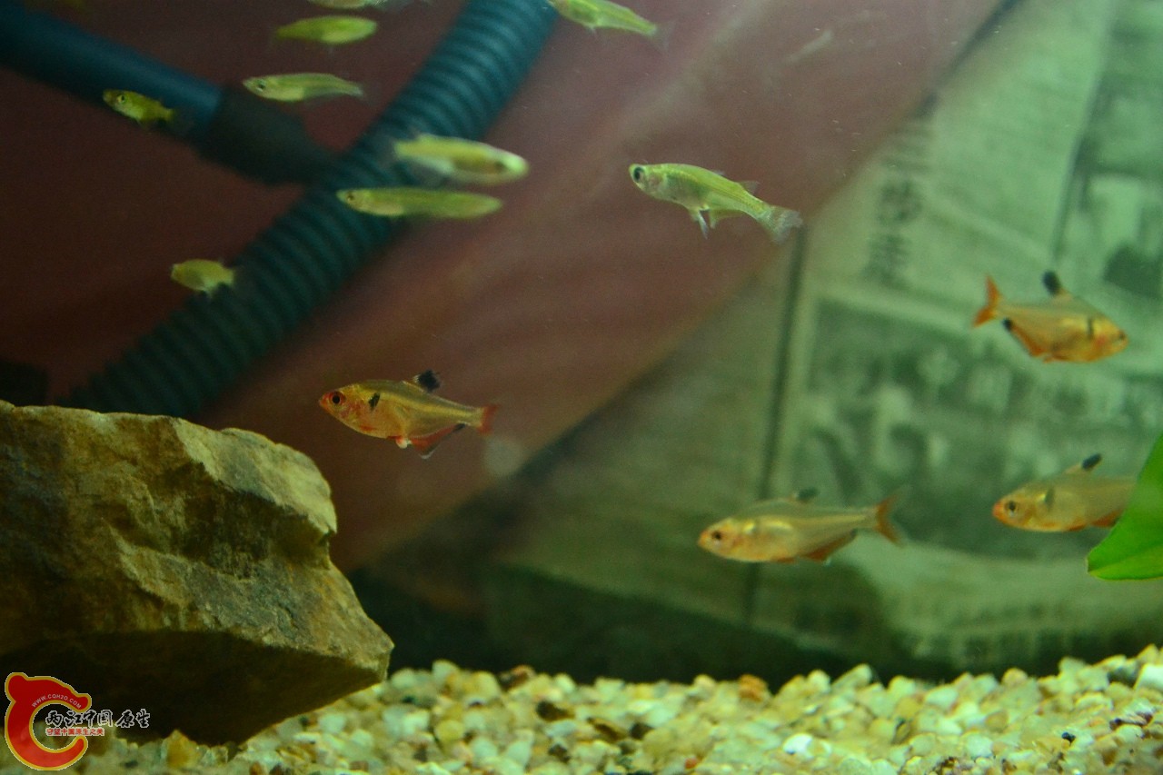 201108241526.jpg