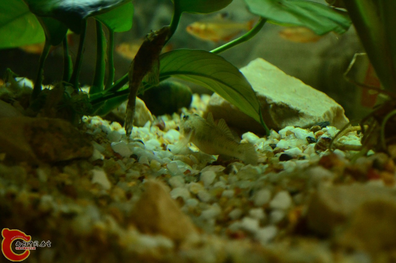 201108241528.jpg