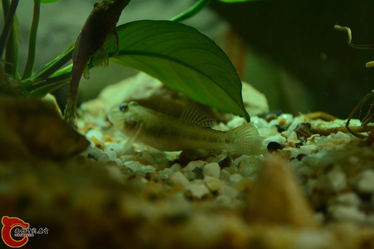 201108241529.jpg