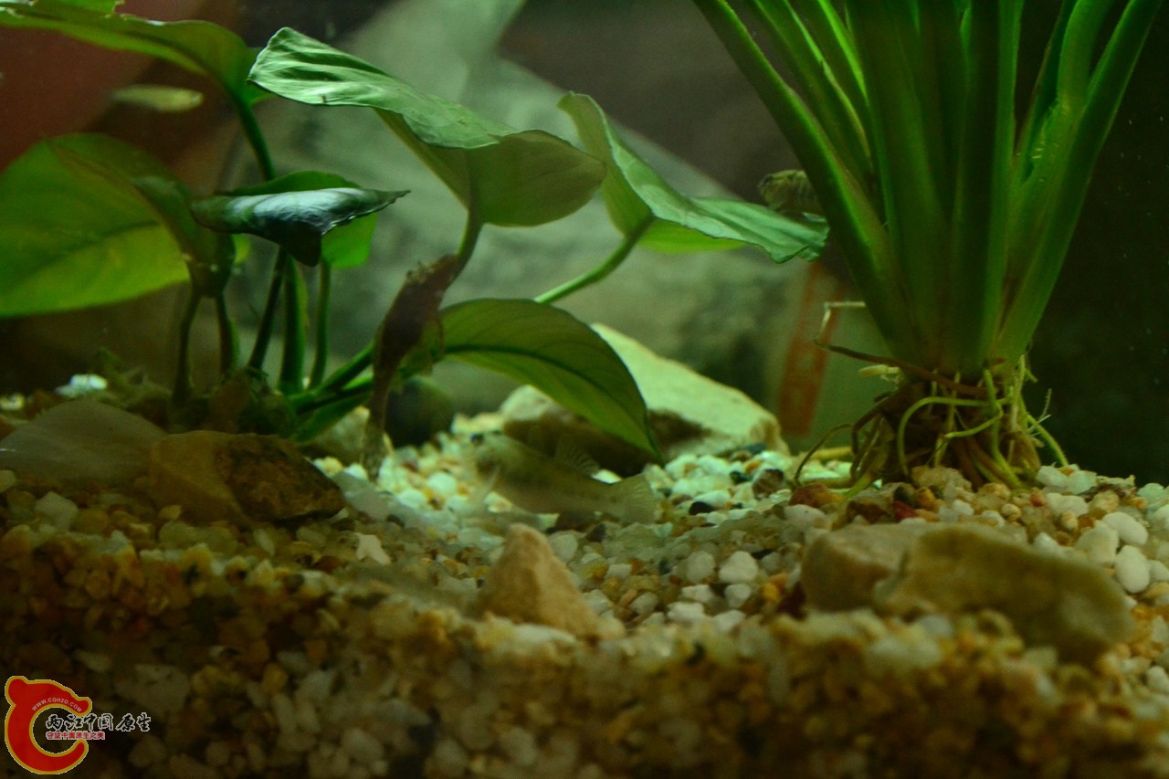 201108241530.jpg