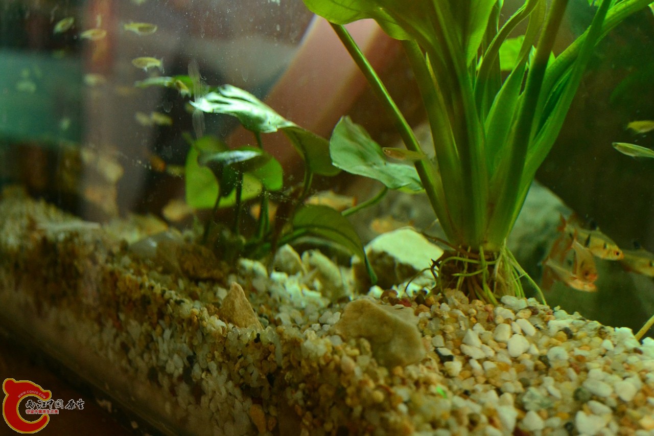 201108241532.jpg