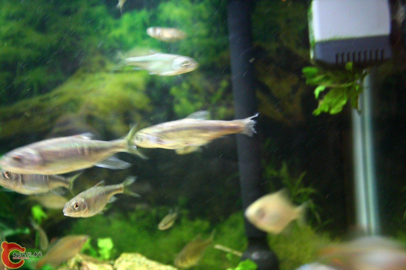 IMG_8546.jpg
