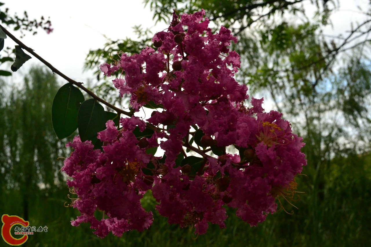 201108241665.jpg