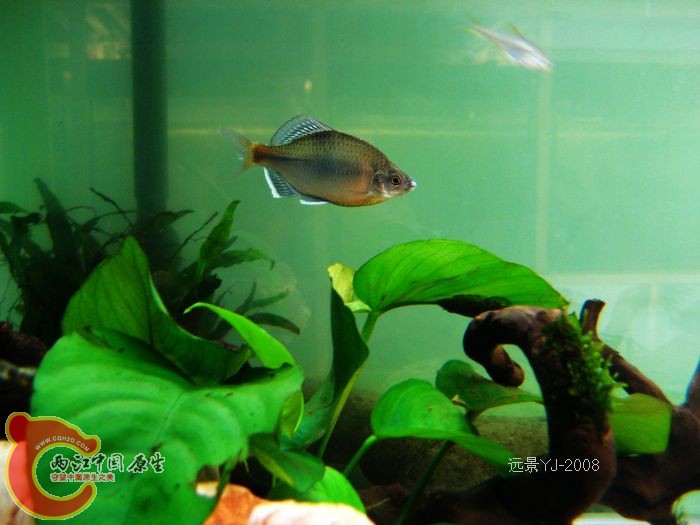nEO_IMG_IMG_9191.jpg