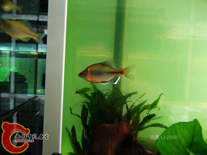 nEO_IMG_IMG_9211.jpg