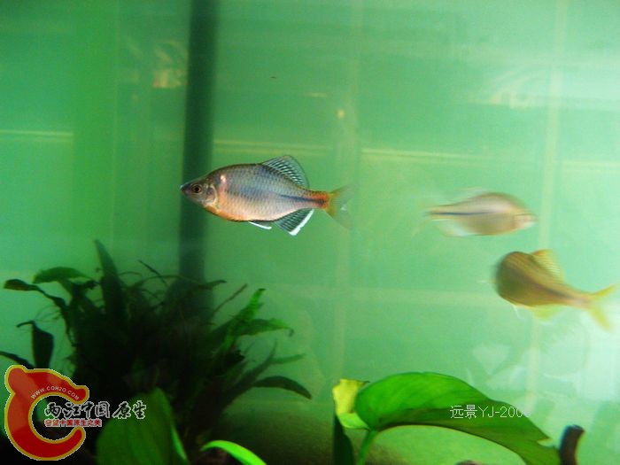 nEO_IMG_IMG_9216.jpg