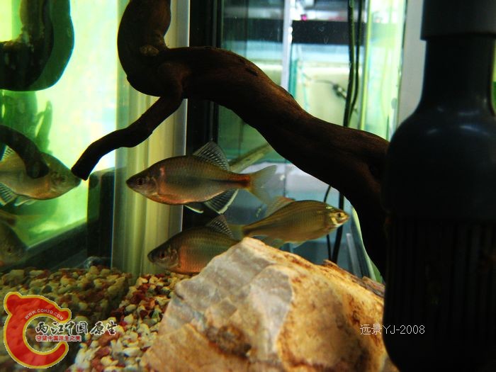 nEO_IMG_IMG_9261.jpg