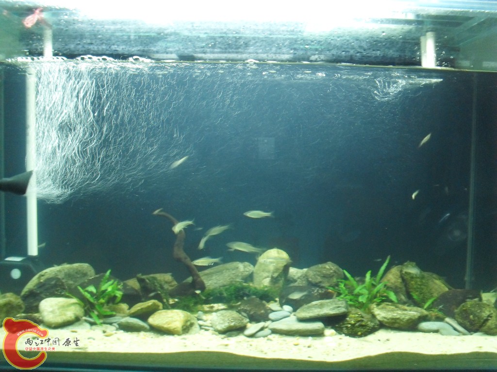 SDC18351.JPG