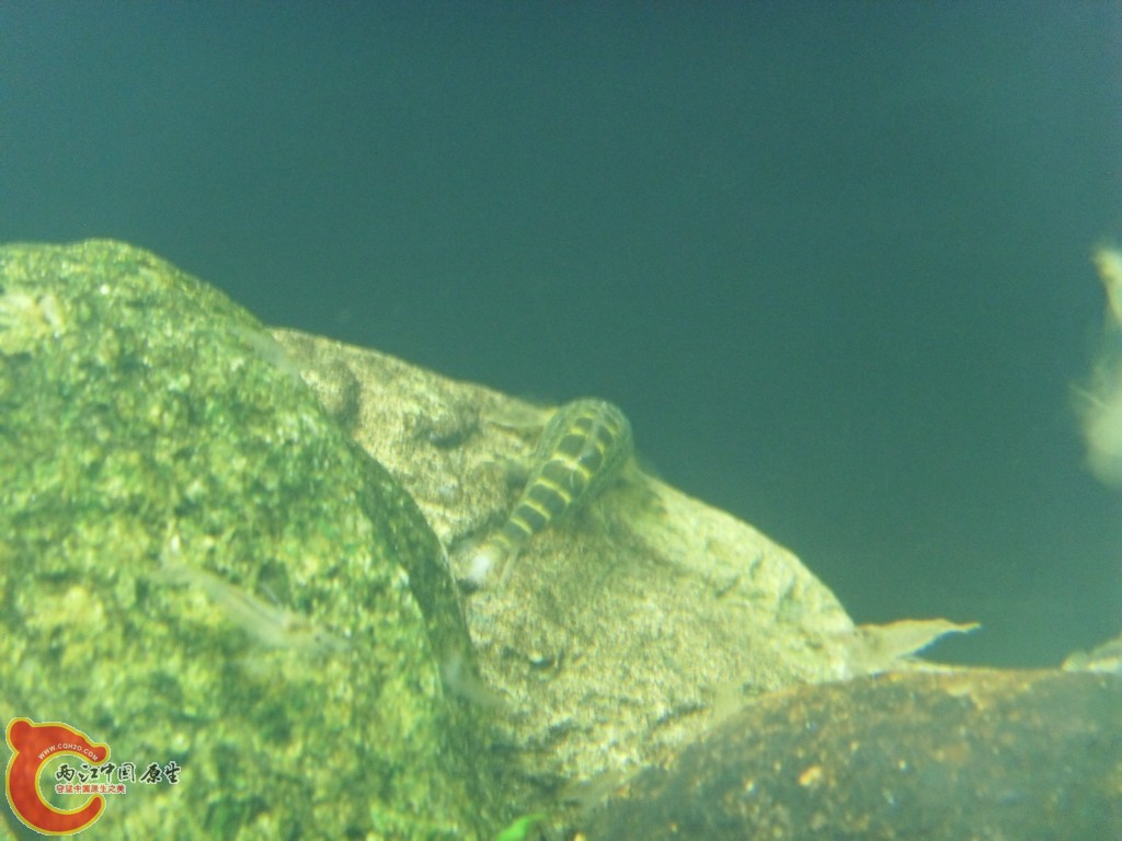 SDC18355.JPG