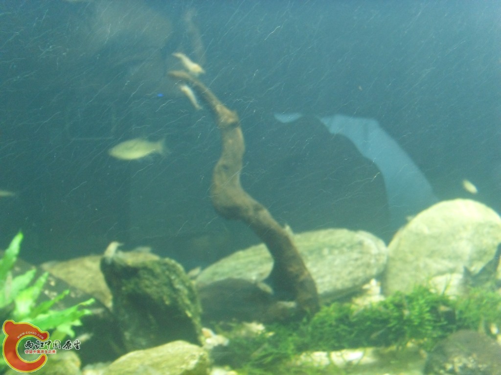 SDC18366.JPG