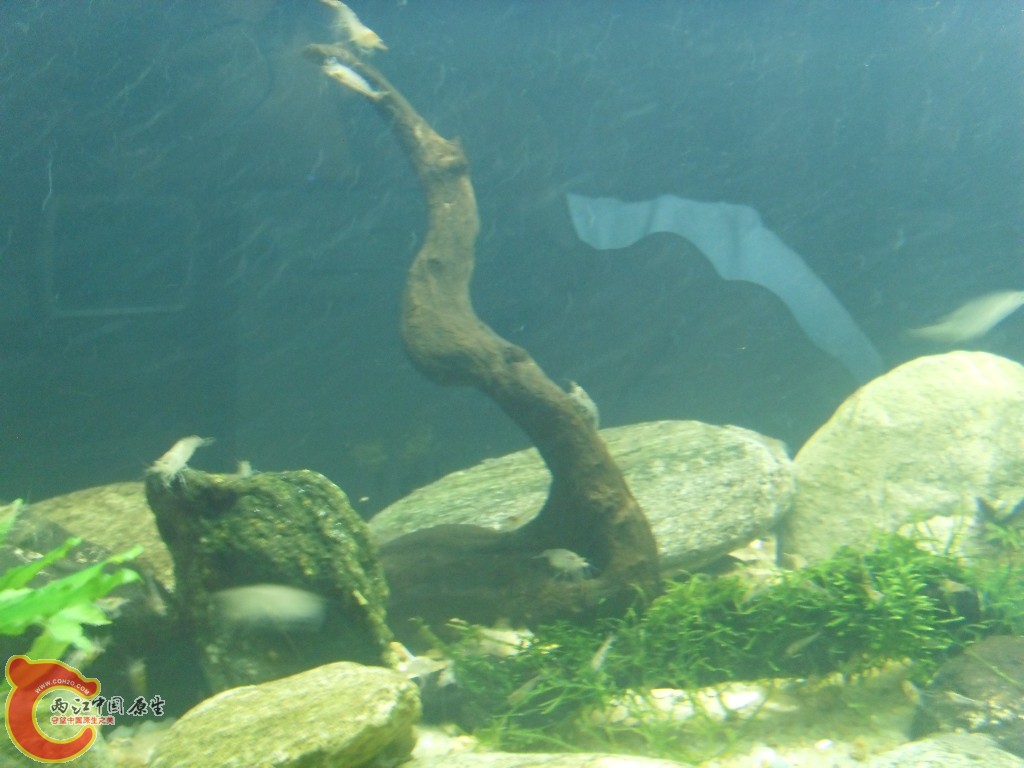 SDC18367.JPG