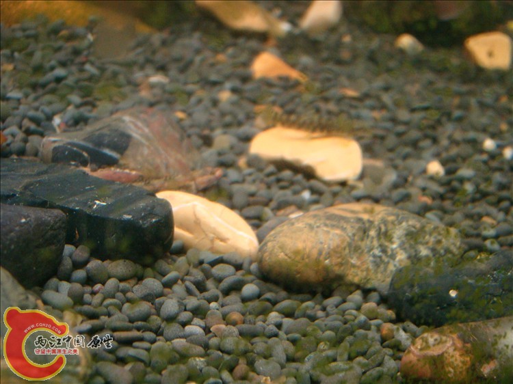 DSC05384.JPG