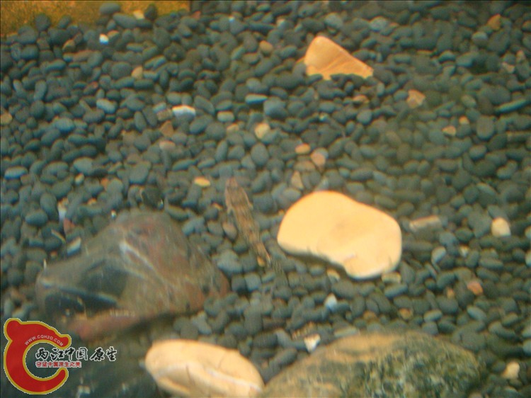 DSC05390.JPG