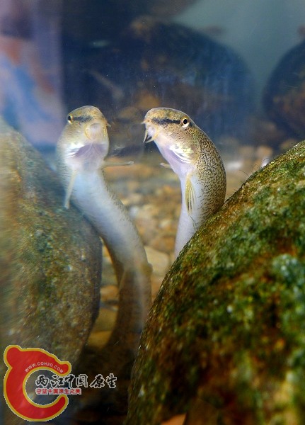 L1000840.JPG