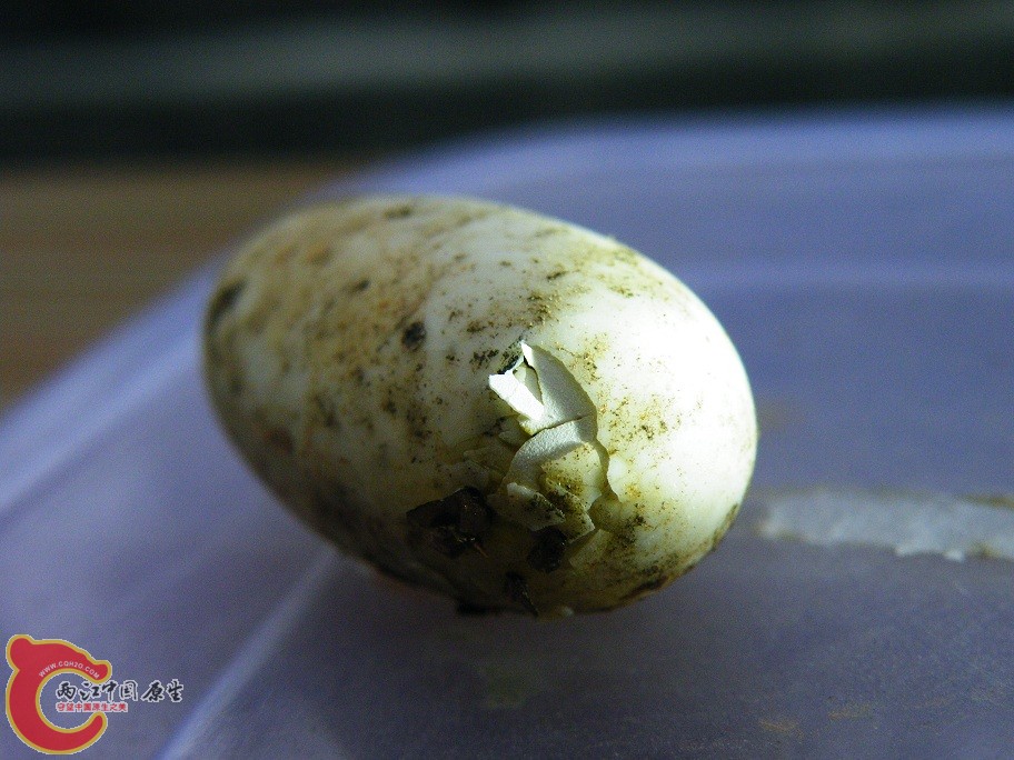 DSCF6369.JPG