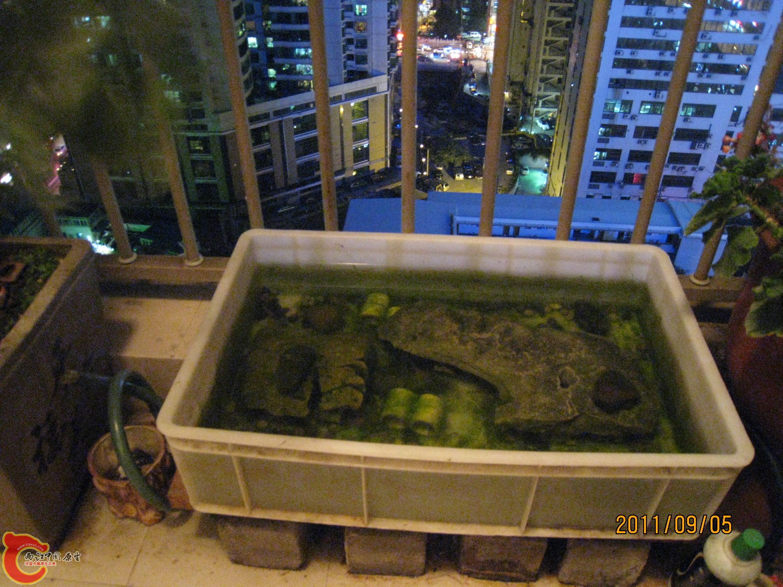 IMG_1748.JPG
