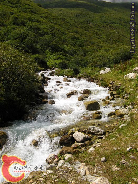IMG (39).jpg
