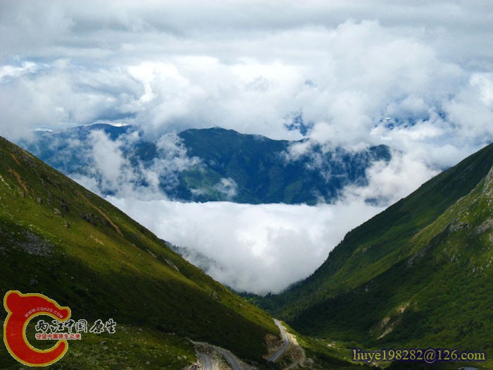 IMG (87).jpg
