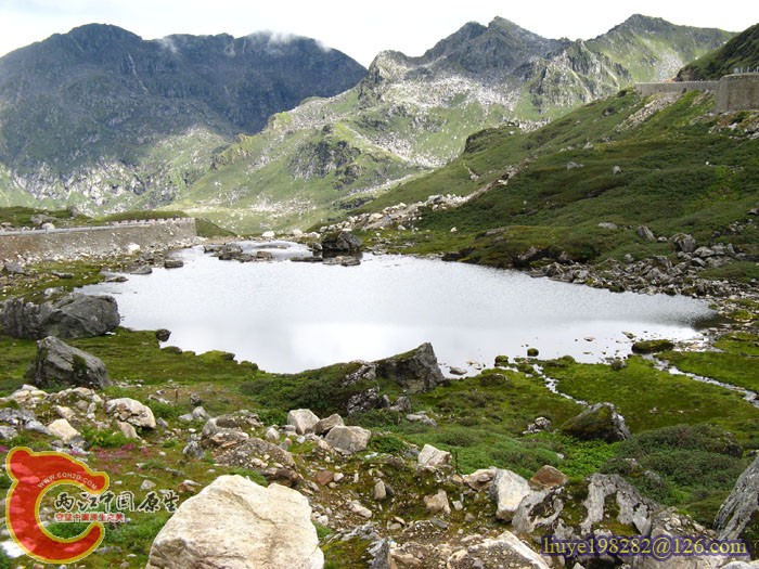 IMG (88).jpg
