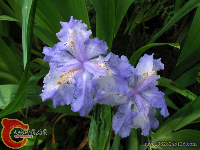 IMG (205).jpg