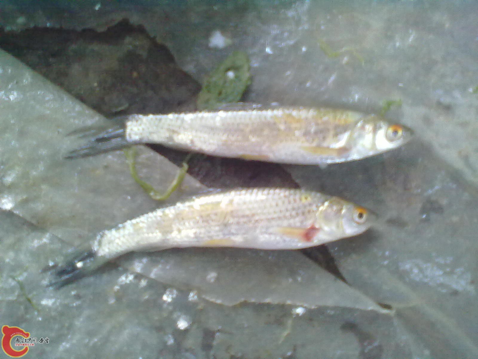 20110911106.jpg