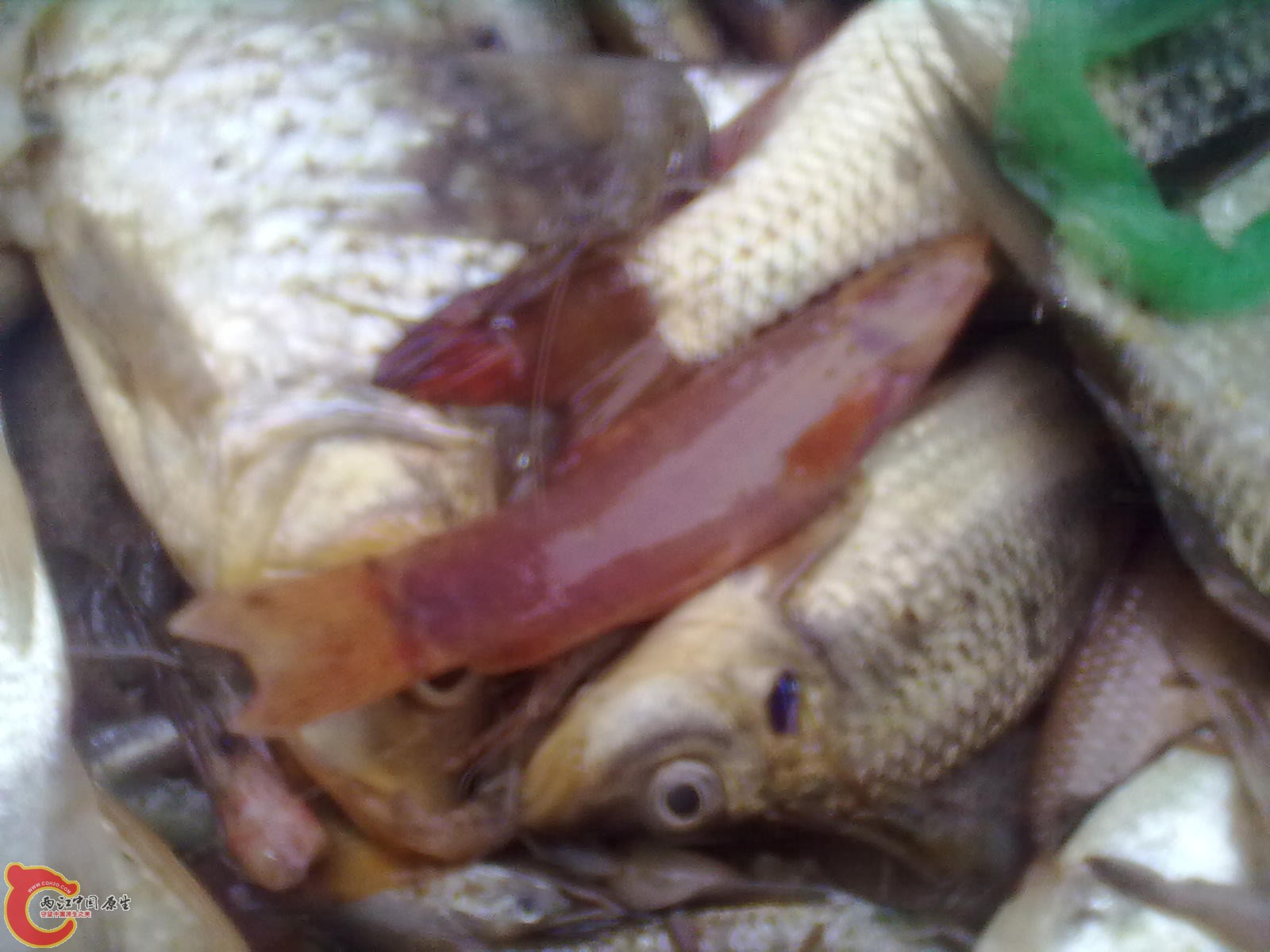 20110911108.jpg