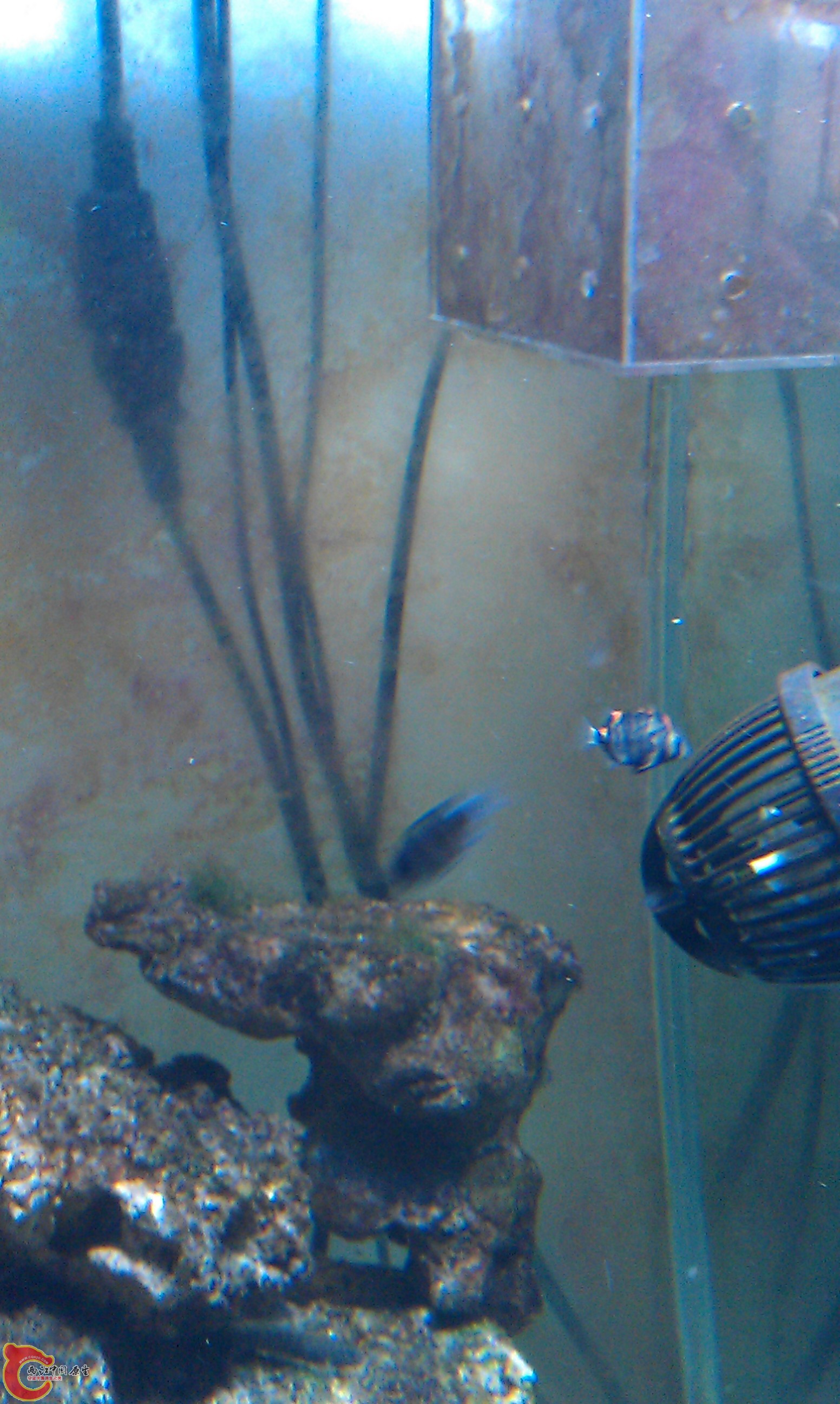 IMAG0092.jpg