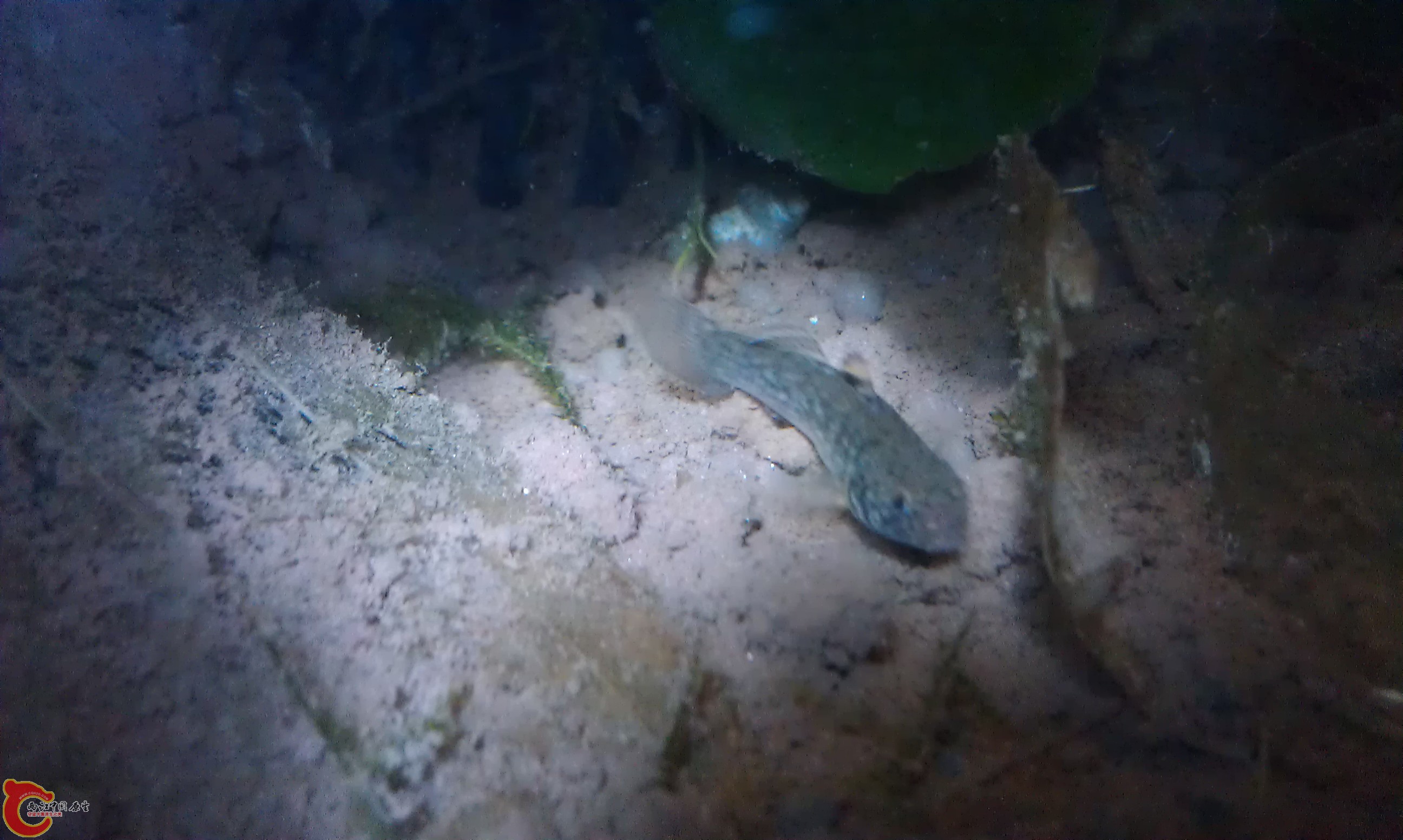 IMAG0178.jpg