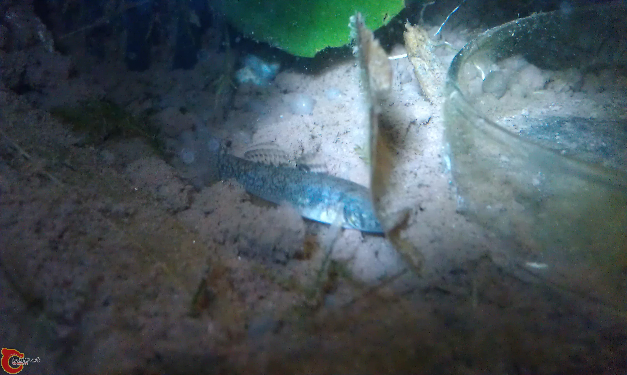IMAG0179.jpg