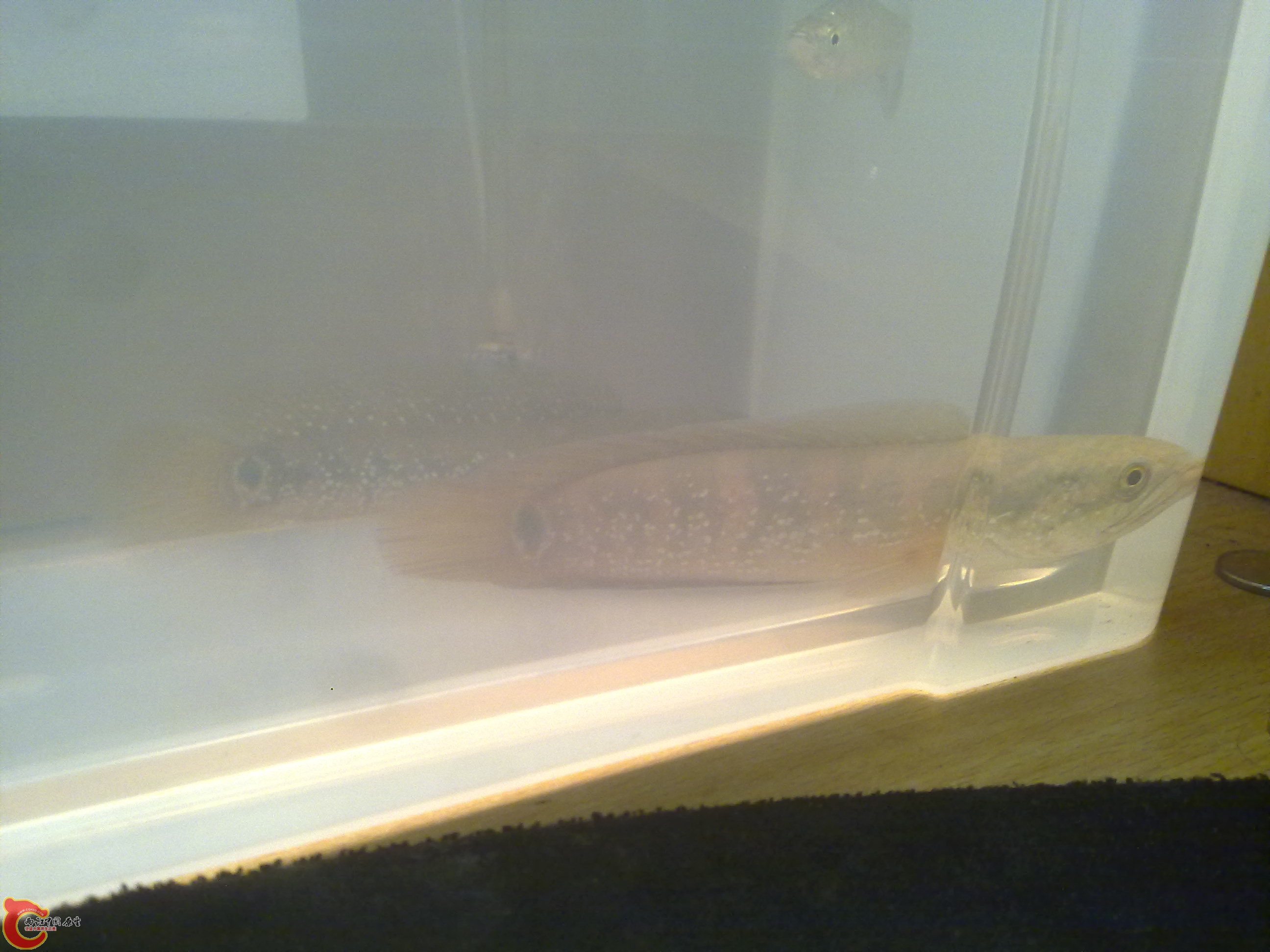 20110917018.jpg