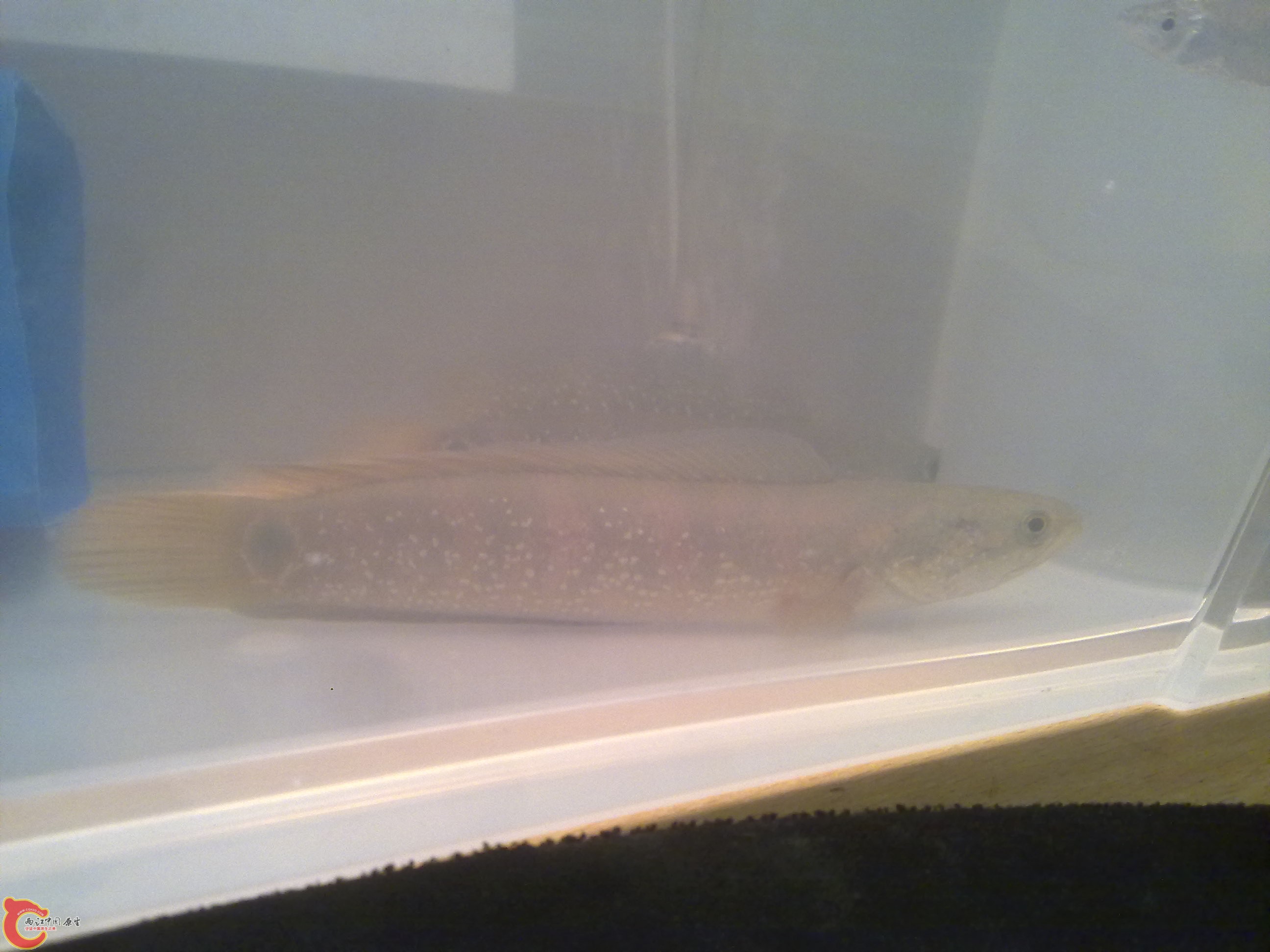 20110917019.jpg