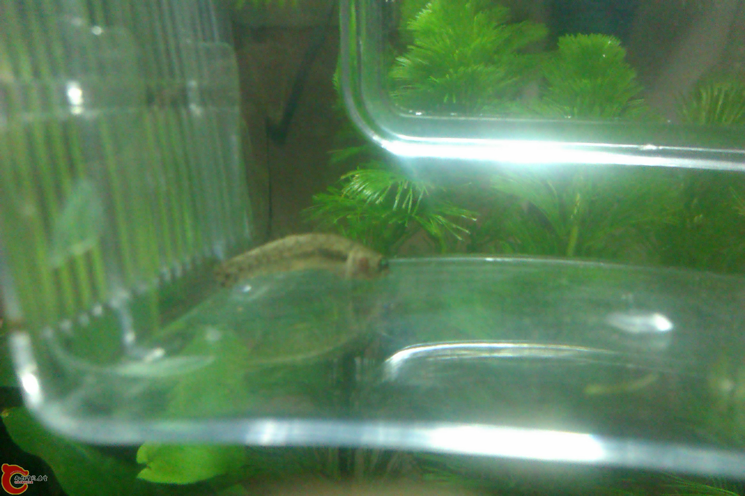 IMAG0576.jpg