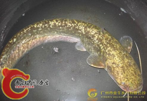 2010421242099262.jpg