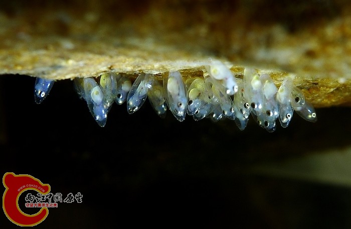 L1010790.JPG