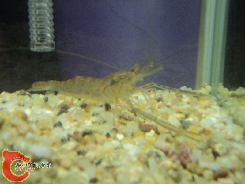 dsc01672_副本.jpg