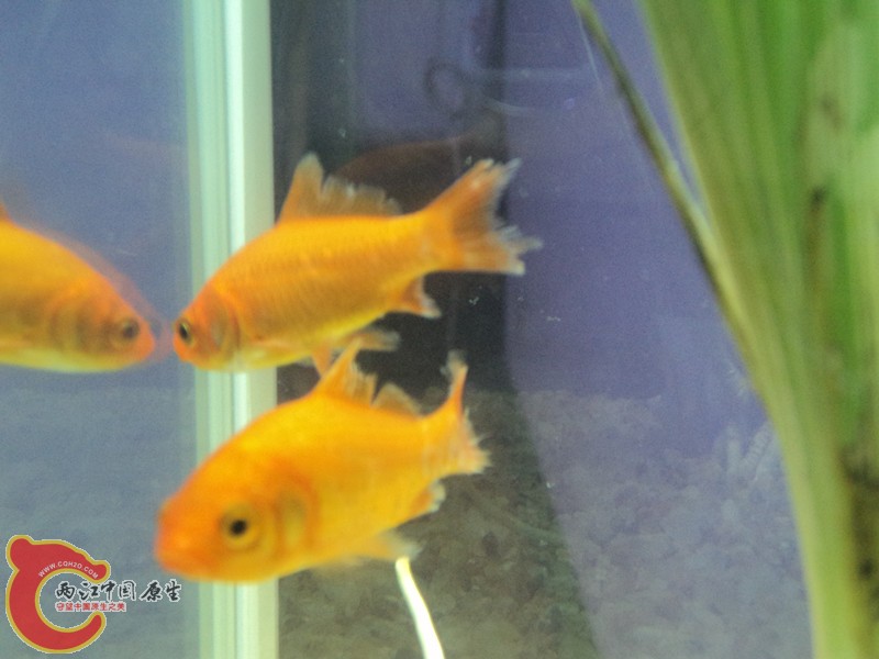 dsc01673_副本.jpg