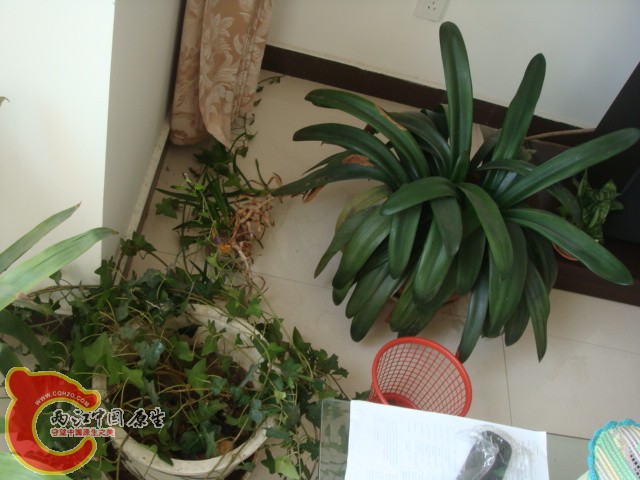 DSC01861.JPG