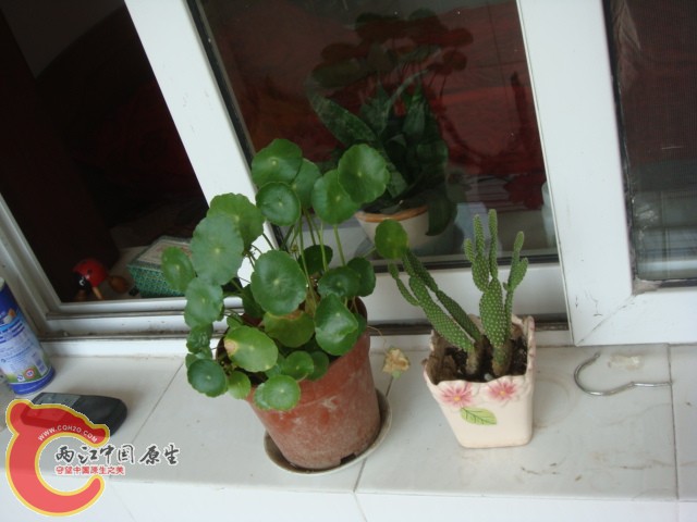 DSC01864.JPG