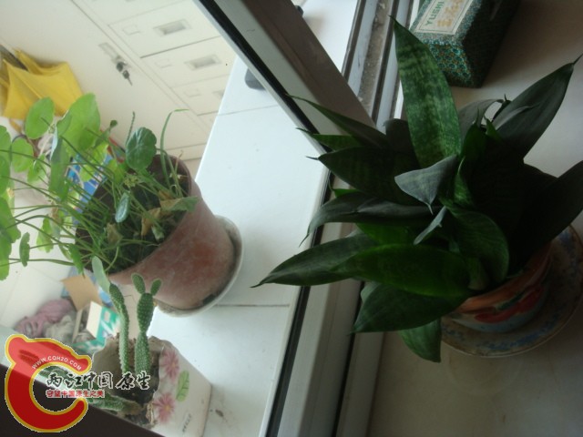 DSC01866.JPG