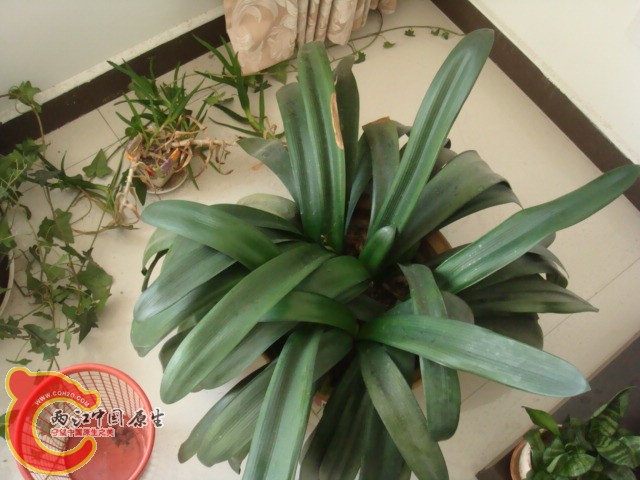DSC01868.JPG